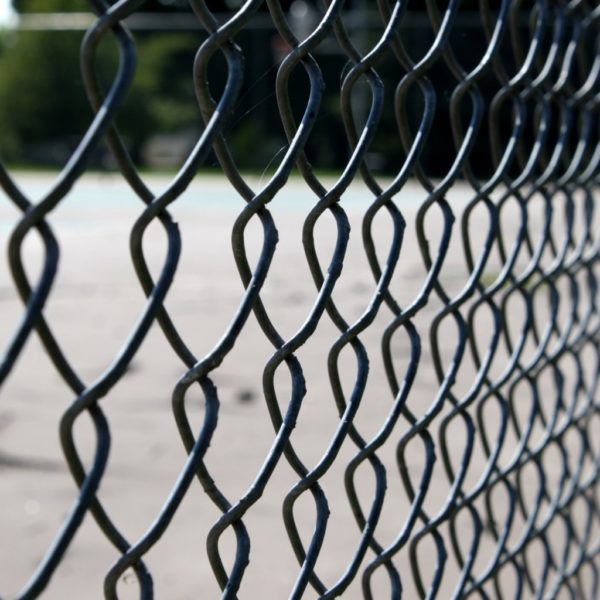 What is a NoClimb Animal Fence? Zepco Fence Fence Company