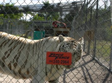 animal fence enclosures
