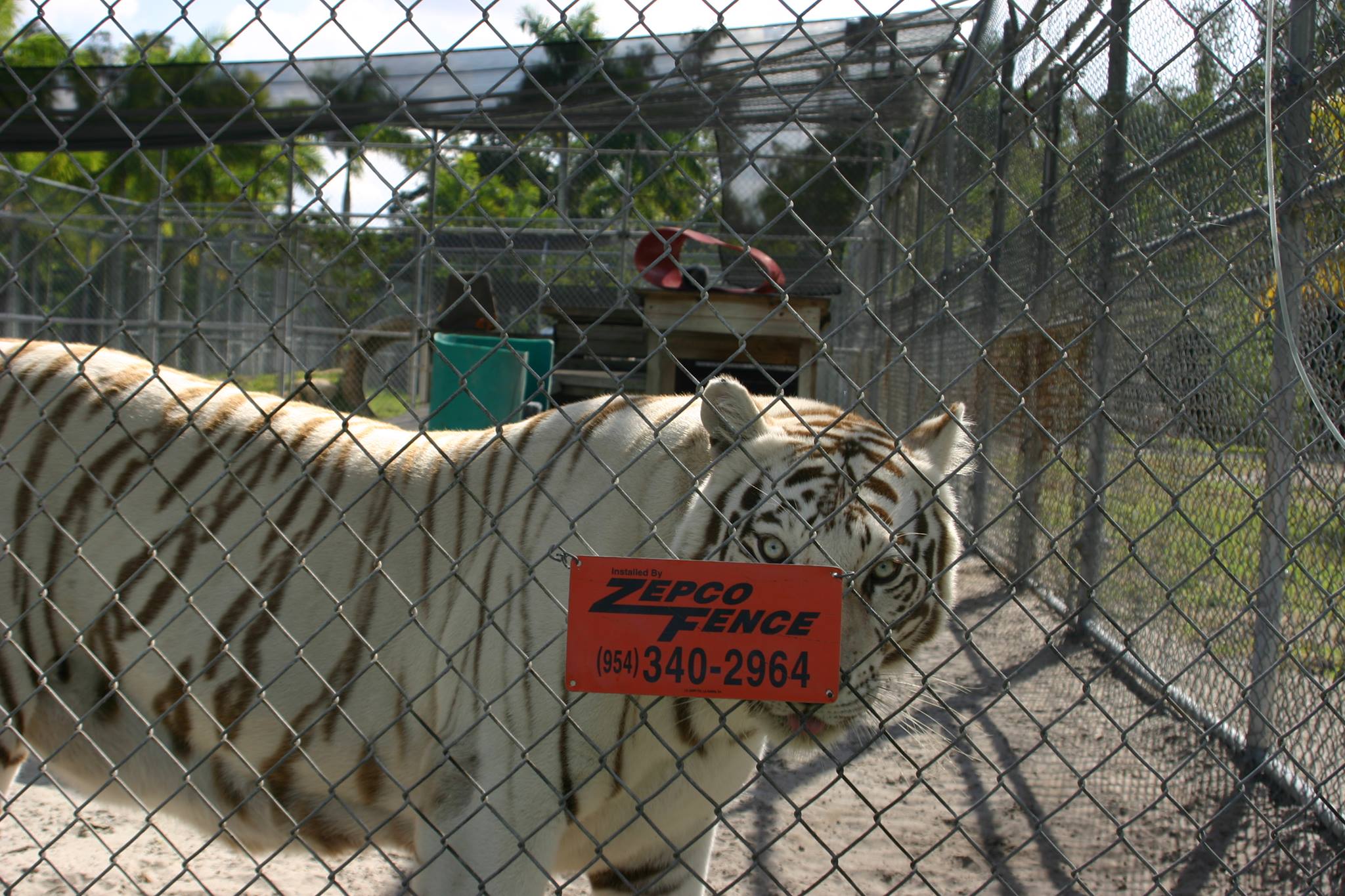 animal fence enclosures
